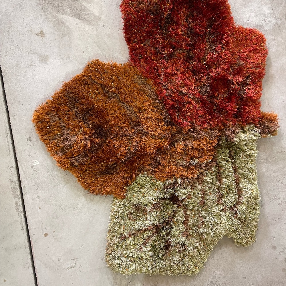 Fall rug - Picture 2 of 4